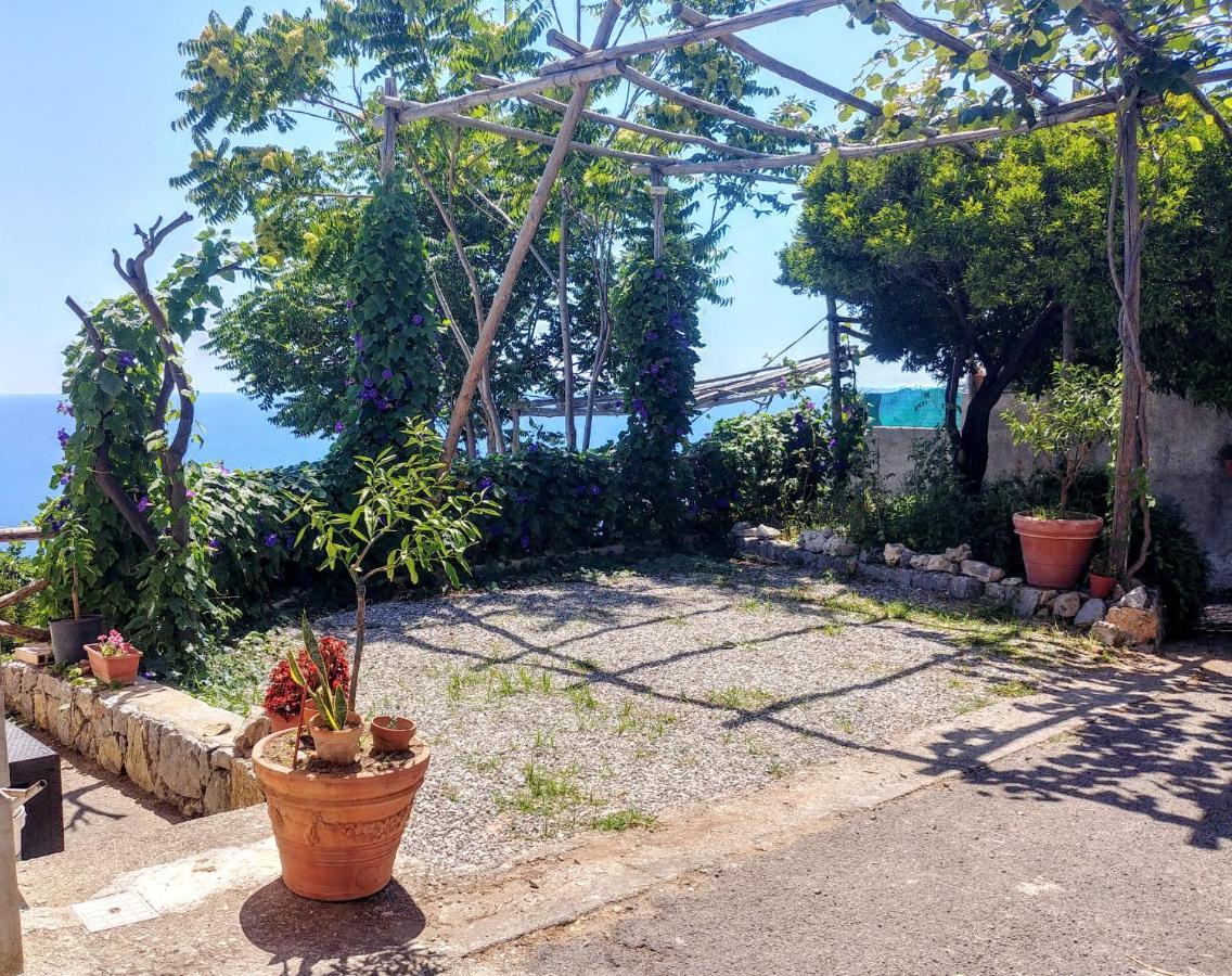 Il Limoneto Apartamento Furore Exterior foto